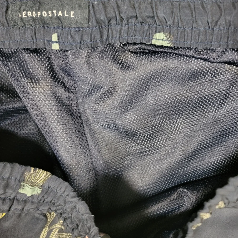 Aeropostale Cacti Kickback Jogger Shorts Board Shorts Swim Trunks Cactus Medium